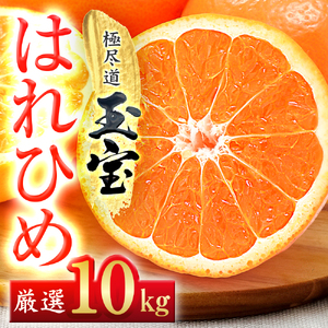 【愛媛名産】玉宝はれひめ　10kg【F64-72】【1621817】 YWTY061