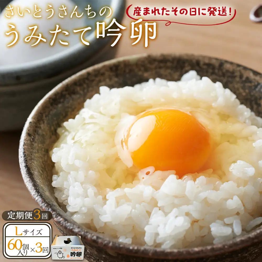 【3回定期便】さいとうさんちのうみたて吟卵　60個入り 卵