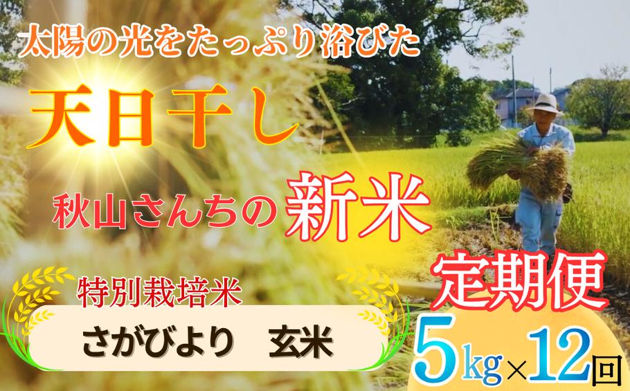 
                  【定期便】 全12回【2026年度】秋山さんの新米 さがびより 【玄米】5kg x12回 
                