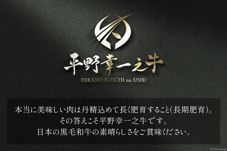 隔月6回 定期便 ブランド牛 平野幸一之牛 プレミアムセット 総量3.4kg [増山（焼肉薩摩） 長崎県 雲仙市 item1766] 牛肉 ステーキ すき焼き 焼肉 黒毛和牛 和牛 肉 冷凍 定期