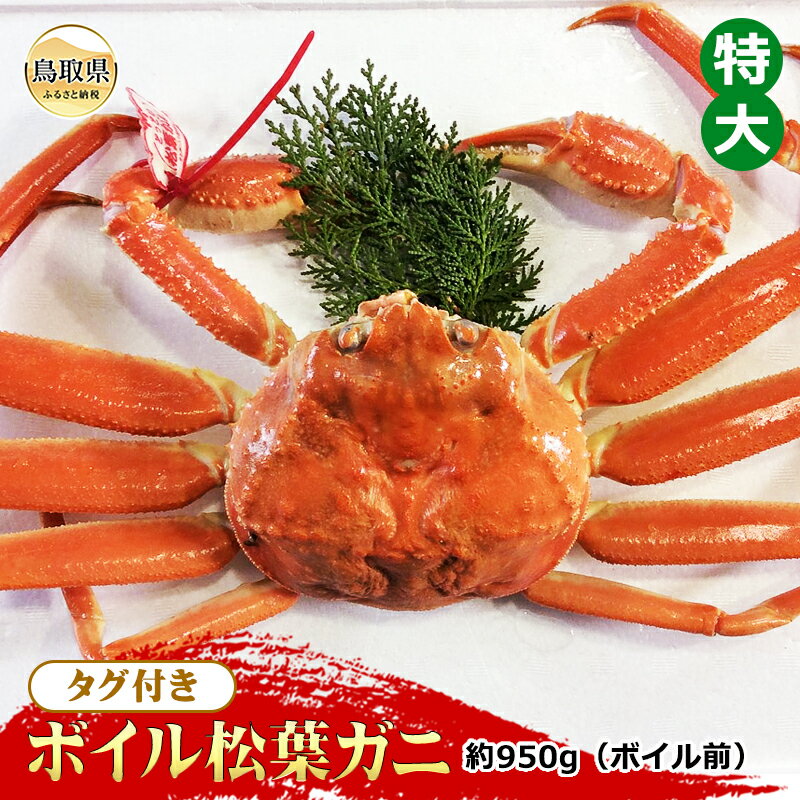 【ふるさと納税】【魚倉】タグ付きボイル松葉ガニ　特大　約950g（ボイル前）【期間限定】_T2600162