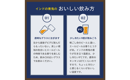 インドの青鬼（96缶）クラフトビール 4ケース