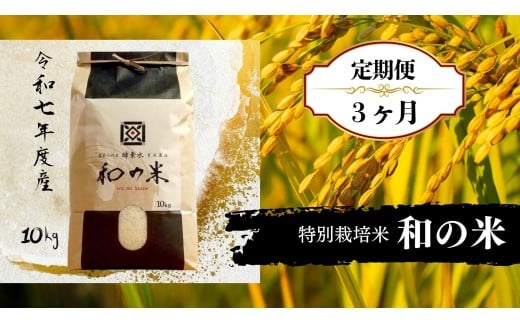【3ヵ月定期便】《 令和7年産 》和の米「酵素米」　玄米10kg×3回 ／ 米 こめ コメ お米 おこめ コシヒカリ こしひかり 和の米 酵素米 特別栽培認証 新米 玄米 ごはん ご飯 令和7年産 10kg 定期便 茨城県 利根町 送料無料
