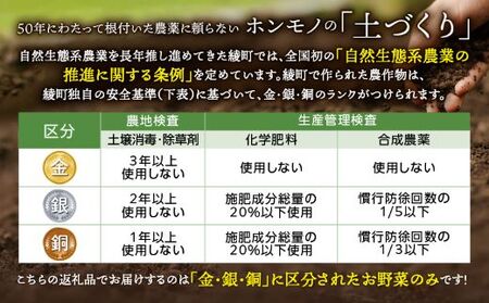 日時指定可能！旬のお野菜セット（サイズ大）【全12回定期便】