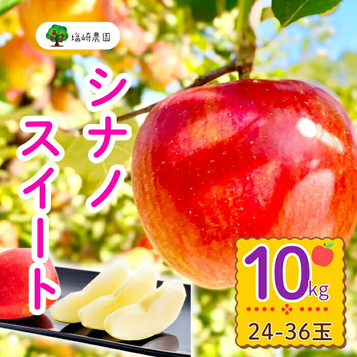 【ふるさと納税】＜先行予約＞シナノスイート【約10kg(24〜36玉)】 ＜出荷開始：2025年10月中旬～下旬頃＞(7-A24-3)【 りんご フルーツ 長野県 飯山市 ギフト プレゼント 記念日 誕生日 父の日 母の日 敬老の日 記念品 シナノスイート 景品 賞品 粗品 お香典返し】