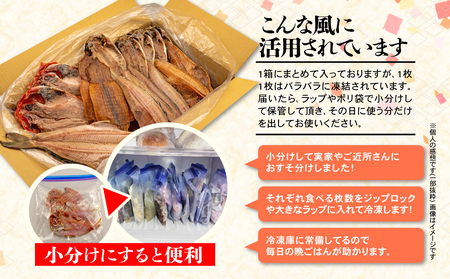 【2024年7月発送予定】 訳あり ひもの 干物 3.4kg おまかせ ひもの 干物 詰め合わせ ひもの 干物 セット ひもの 干物 ホッケ 金目鯛 アジ サバ ひもの 干物 カレイ ひもの 干物 赤