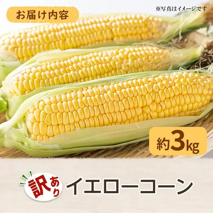 ＜先行予約！2027年6月上旬以降順次発送予定＞＜訳あり・家庭用＞イエローコーン(約3kg) 香川県 国産 トウモロコシ とうもろこし 新鮮 冷蔵便 【man114-A】【Aglio nero】