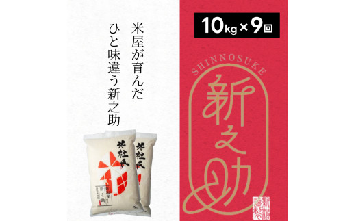 【9ヶ月定期便】 特別栽培米 新之助 10kg (5kg×2袋)×9回 米杜氏 壱成 白米 精米 大粒 つや 光沢 弾力 芳醇 1H29208