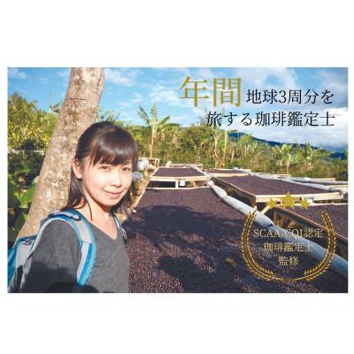 ふるさと納税 福井市 【年間12万本製造!】和珈屋のアイスコーヒーリキッド 6本入 |  | 01