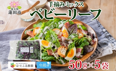 ベビーリーフ 手摘みミックス はーとふる農園国産ベビーリーフ【50g×5袋】