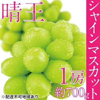 【ふるさと納税】ぶどう 2025年 先行予約 シャイン マスカット 晴王 1房 約700g ブドウ 葡萄 岡山県産 国産 フルーツ 果物 ギフト 　お届け：2026年9月上旬～2026年10月下旬