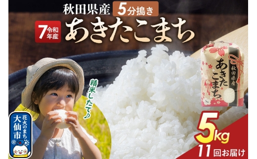 《定期便11ヶ月》【5分搗き】あきたこまち 5kg 秋田県産 令和7年産 こまちライン 秋田県 大仙市産 [秋田 お米 米どころ あきたこまち こまちライン]