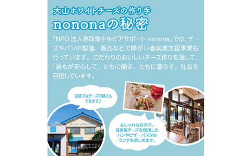 り25-011 大山ホワイトチーズ