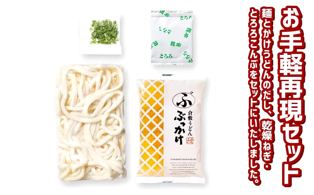 【6ヶ月定期便】かけうどん だし凍らし麺 12人前×6回