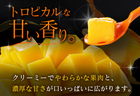 □糖度15度以上！宮崎県産 「太陽のタマゴ」（合計約2kg）