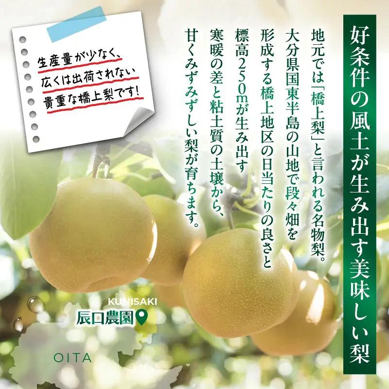 【先行予約】令和8年発送 / 辰口農園の橋上梨約5kg（品種:あきづき）_2431R