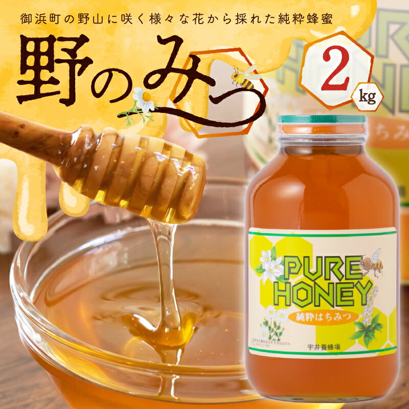 【ふるさと納税】蜂蜜 2kg 野のみつ 国産【御浜町でとれた百花蜜 2.0kgのBIGボトル！】