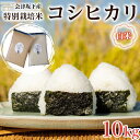 【ふるさと納税】51-C 会津坂下町産 特別栽培米コシヒカリ 10kg(5kgx2) 白米 FARMiliarほり の 「もぉ～うん米」◇｜ 福島県産 米 お米 単一米 特別栽培 減農薬 一部真空パック 長期保存