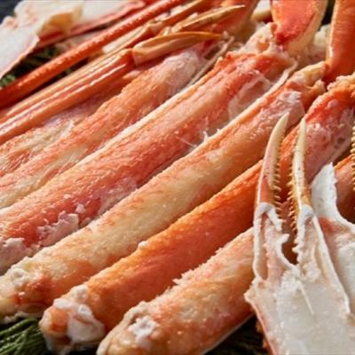 ふるさと納税 えりも町 ずわいがに(脚肉)約2kg【er001-050-b】 |  | 01