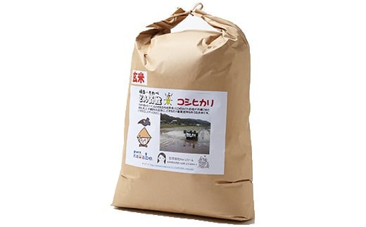 【数量限定】岐阜・かわべ　どん百姓米（コシヒカリ玄米10kg）│玄米 米 お米 おこめ コメ