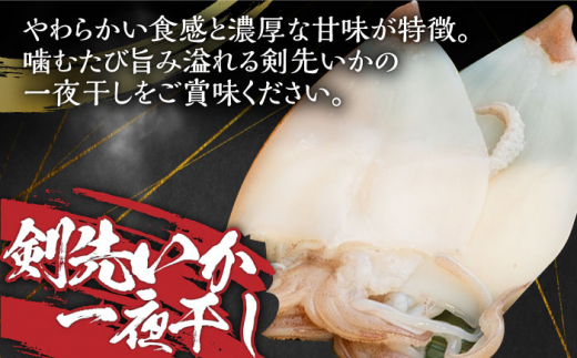 【全6回定期便】対馬 海の幸 干物 セット《対馬市》【対馬地域商社】九州 長崎 海鮮 [WAC028]冷凍 新鮮 魚 イカ あじ 鯵 アジ 剣先いか カマス 穴子 個包装 BBQ 魚介 浜焼き ひもの