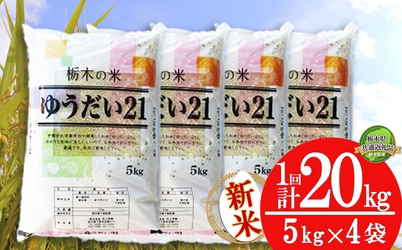 
            【栃木県共通返礼品】ゆうだい21 20kg（5kg×4袋） | 米 こめ コメ kome 白米 精米 お米 ゆうだい ユウダイ ﾕｳﾀﾞｲ 新米 栃木米 大粒 粘り 甘み お弁当 おにぎり 令和7年度米 令和7年度 2025年度米 2025年度 ブランド米 栃木県 特産品 送料無料 栃木県 下野市 しもつけ市
          