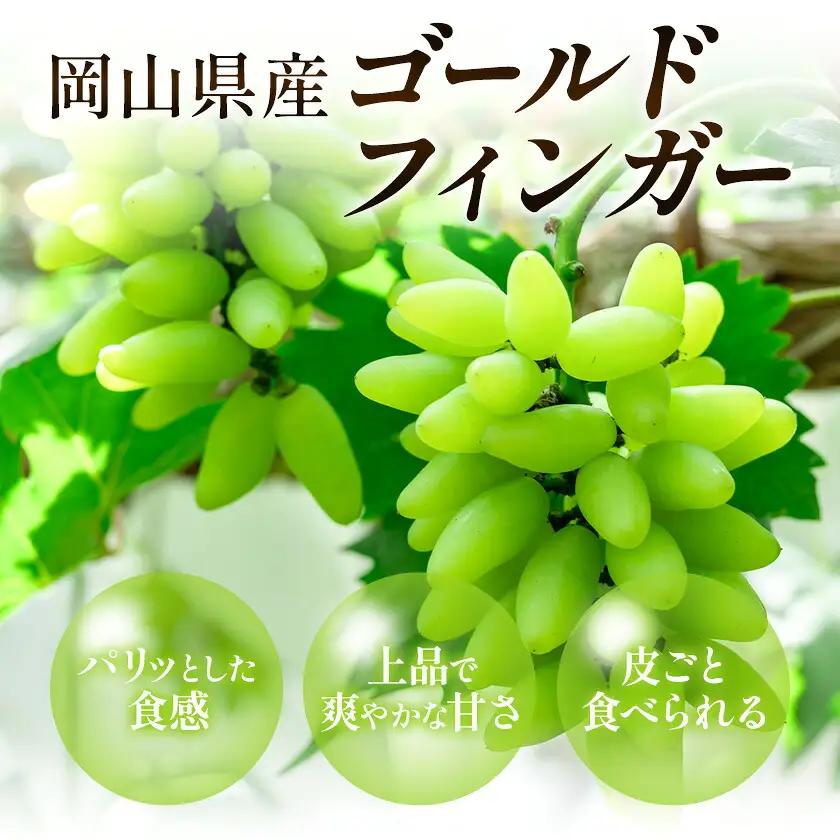 【2027年発送先行予約】岡山県産 ゴールドフィンガー 1房 約400g【配送不可地域：離島】