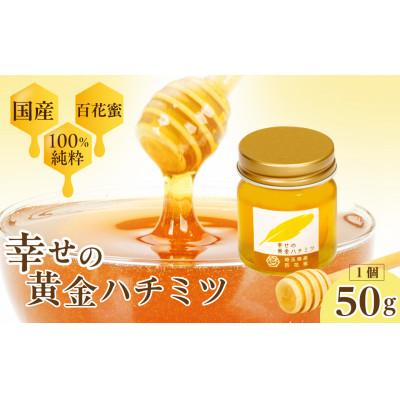 ふるさと納税 久喜市 はちみつ 幸せの黄金ハチミツ 50g(50g×1個)