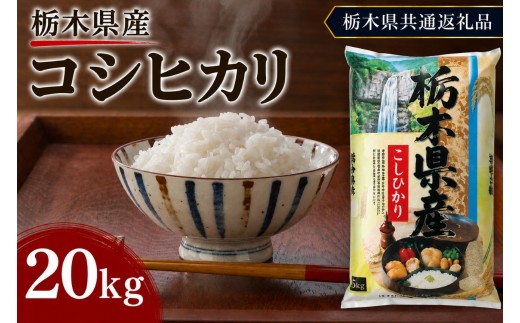 栃木県産 お米 白米 こしひかり 20kg | 栃木県 矢板市　栃木県共通返礼品