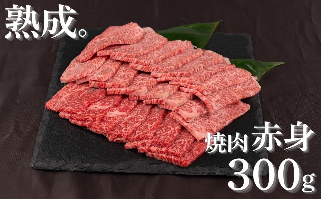 
                  「山勇牛」焼肉用 赤身 300g 牛肉 和牛 飛騨牛 肉 稀少部位 焼き肉 冷凍 飛騨市 高評価  赤身牛肉 赤身 熟成
                