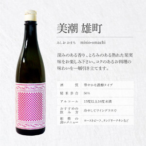美潮 純米吟醸2本セット ふるさと納税限定 720ml 飲み比べセット 