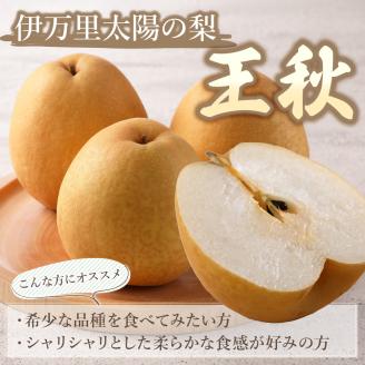 【令和6年産先行予約】伊万里梨「王秋」 約5kg  B163