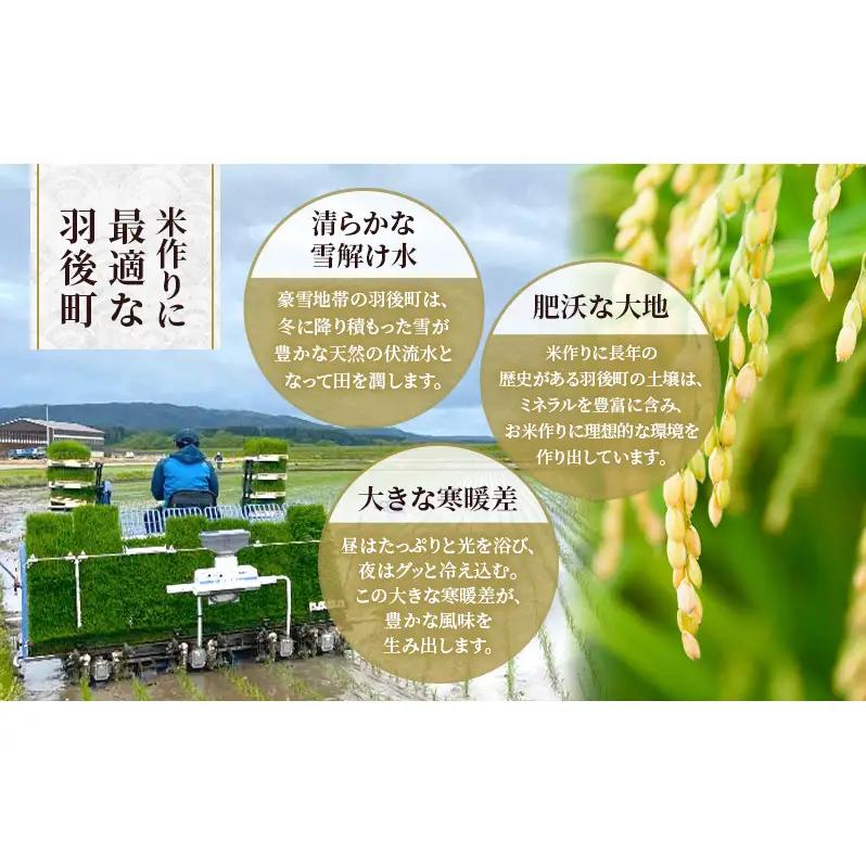 新米 先行予約［令和8年産］定期便 秋田県産 あきたこまち 20kg (5kg×4袋) 全6回 毎月お届け 羽後町産 [藤原商店]【米 お米 白米 精米 あきたこまち アキタコマチ 美味しい 秋田 羽