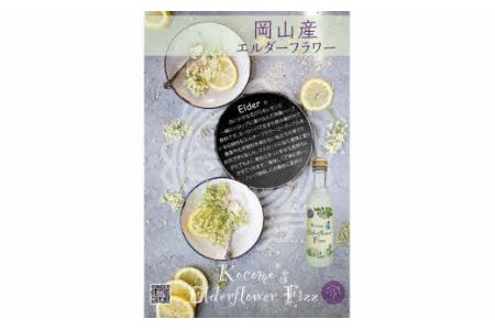 Kocomo’s エルダーフラワーフィズ 炭酸飲料 200ml×10本 _S123