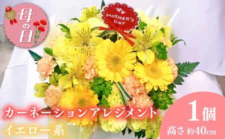 【先行予約】 母の日に！ 生花 カーネーション アレンジメント 黄色 2026年5月から順次発送 オンライン決済限定 花 花