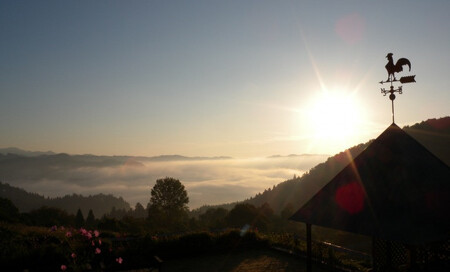 新見産紅茶 ストロベリー ティーバッグ 10p×3箱 30p