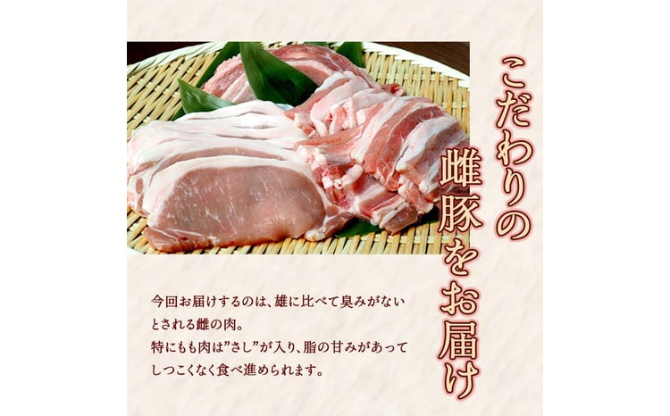 【2カ月定期便】一勝地赤豚 しゃぶしゃぶ・焼肉 堪能定期便 FKP9-420