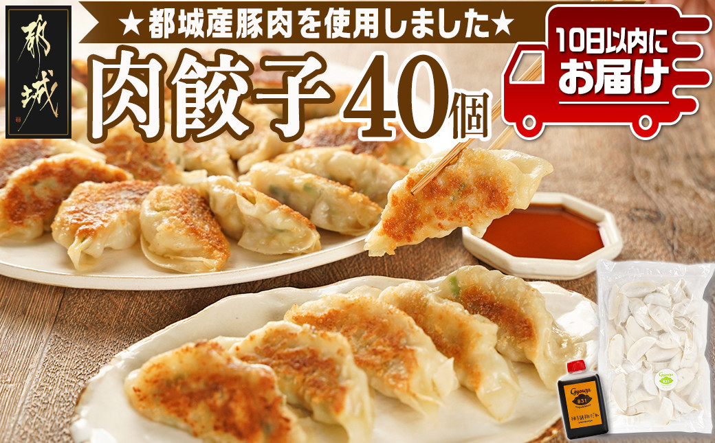 
            831ハチサンイチの肉餃子40個入り≪みやこんじょ特急便≫_LE-K601-Q_(都城市) 肉餃子40個 都城産豚使用 柚子胡椒たれ付 
          