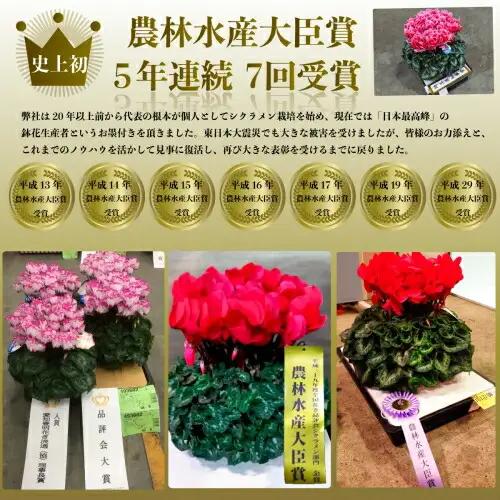 【2026-27年 先行予約】季節の花 定期便 6回 (12-5月) 色おまかせ 根本園芸 | 花ギフト定期便