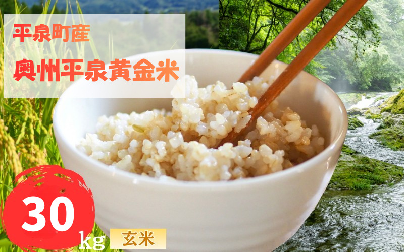 令和7年産 平泉町産 奥州平泉黄金米 玄米30kg / こめ コメ 米 お米 おこめ 玄米 ご飯 ごはん ライス 山水【aoki010C】 