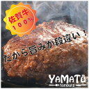 【ふるさと納税】佐賀牛100％ハンバーグ 150g×6個：B190-035