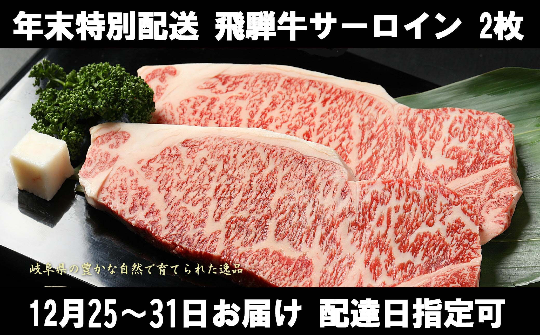 
            39. 【大晦日まで指定可能！】年末配送 飛騨牛 サーロインステーキ 250g 2枚 計500g 冷蔵配送 配達日指定可 年内配送 焼き肉 バーベキュー 焼肉 冷凍可 年末お届け
          