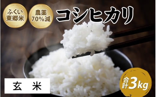 【先行予約】令和7年産 ふくい東郷米 特別栽培米 農薬70％減 コシヒカリ 3kg【玄米】[A-020007_02]