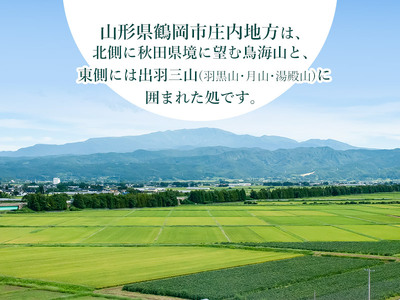 【令和5年産】 山形県庄内産 はえぬき10kg（5kg×2） 鶴岡米穀商業協同組合