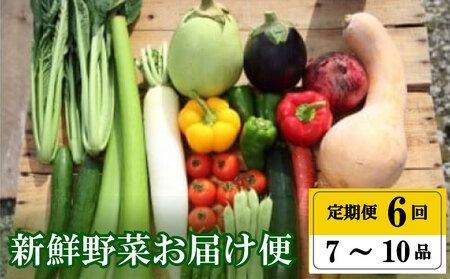 定期便 野菜 6回 セット 毎月 お届け 野菜セット 詰め合わせ 年末限定 高知県 須崎市