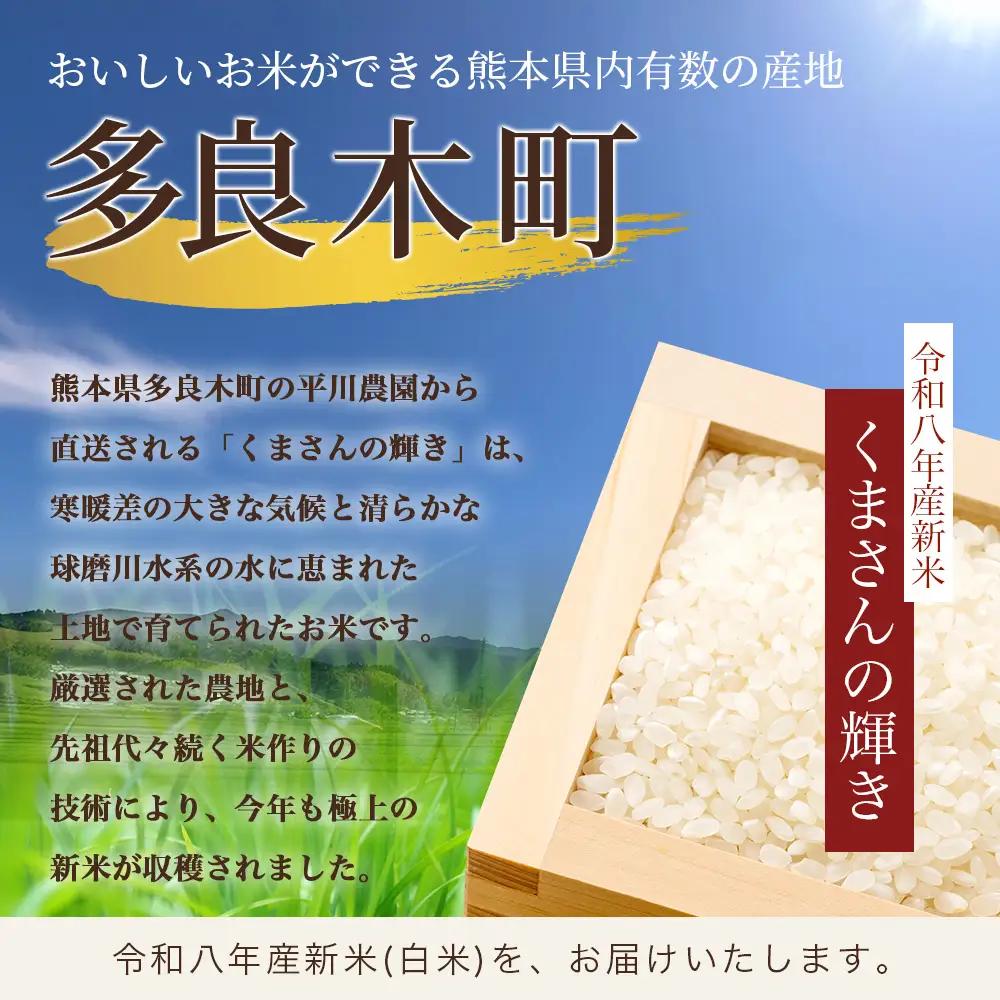 令和8年産 新米 くまさんの輝き 5kg (令和8年10月中旬～発送) 精米・玄米選べる 熊本県産 お米 107-0701