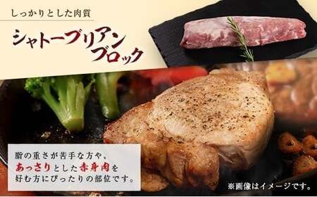 産地直送 宮崎県産 ホエー豚 シャトーブリアン ブロック 計600g（300g×2本）国産 豚肉 ヒレ ヒレ肉 ブロック肉 とんかつ ステーキ