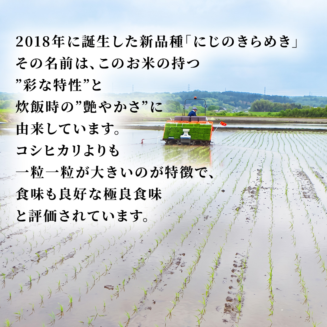 【令和8年産 先行予約】にじのきらめき 精米 15kg × 6回 定期