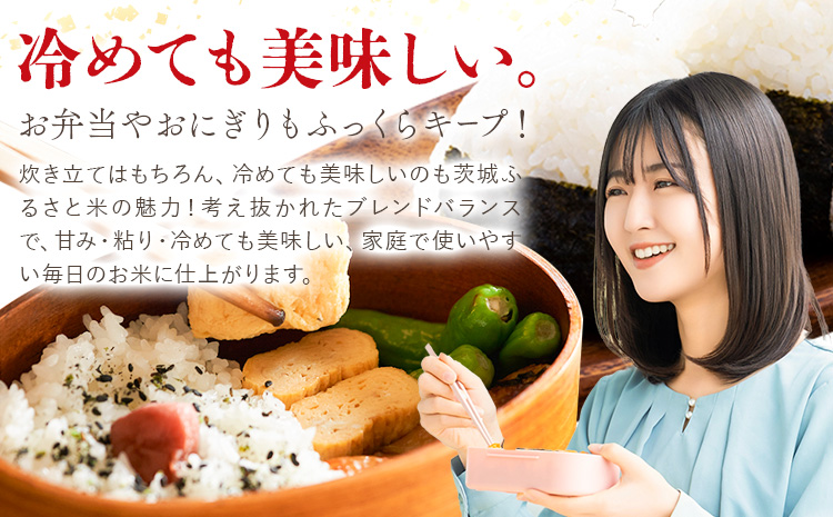 米 茨城 ふるさと米 白米 20kg 5kg×4袋《7-14日以内に出荷予定(土日祝除く)》茨城県 結城市 米 国産 お米 おこめ お弁当 おにぎり