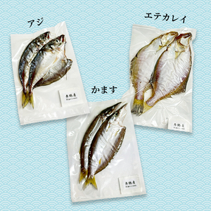 旬の魚 干物セット 贅沢詰合せ 6種～8種 日本海産
